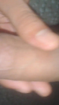 Polla india