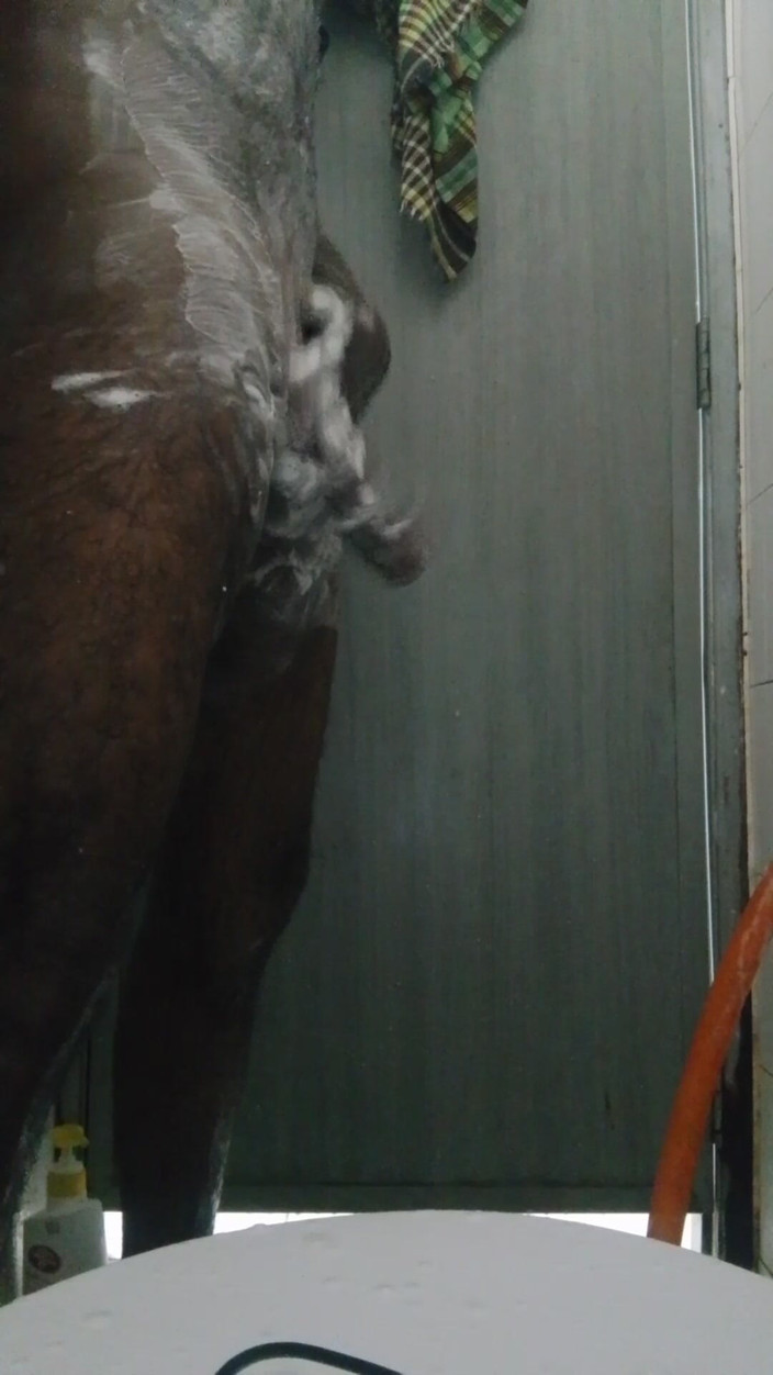 A Ovi: マスターベーション