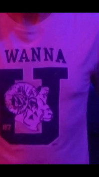 Dopo aver filmato una scena con Link, ho fatto un piccolo video per voi.