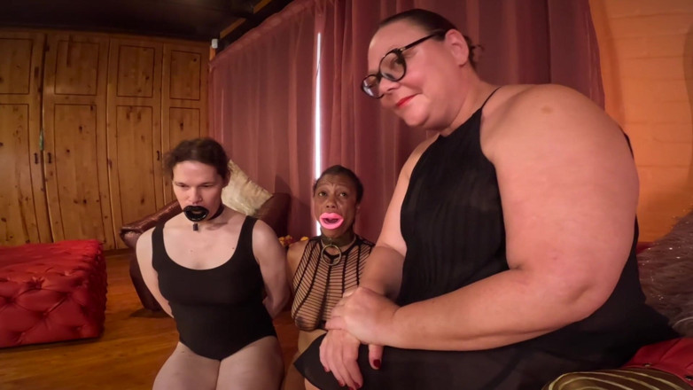 Mistress April: Pozorování pozorovatele