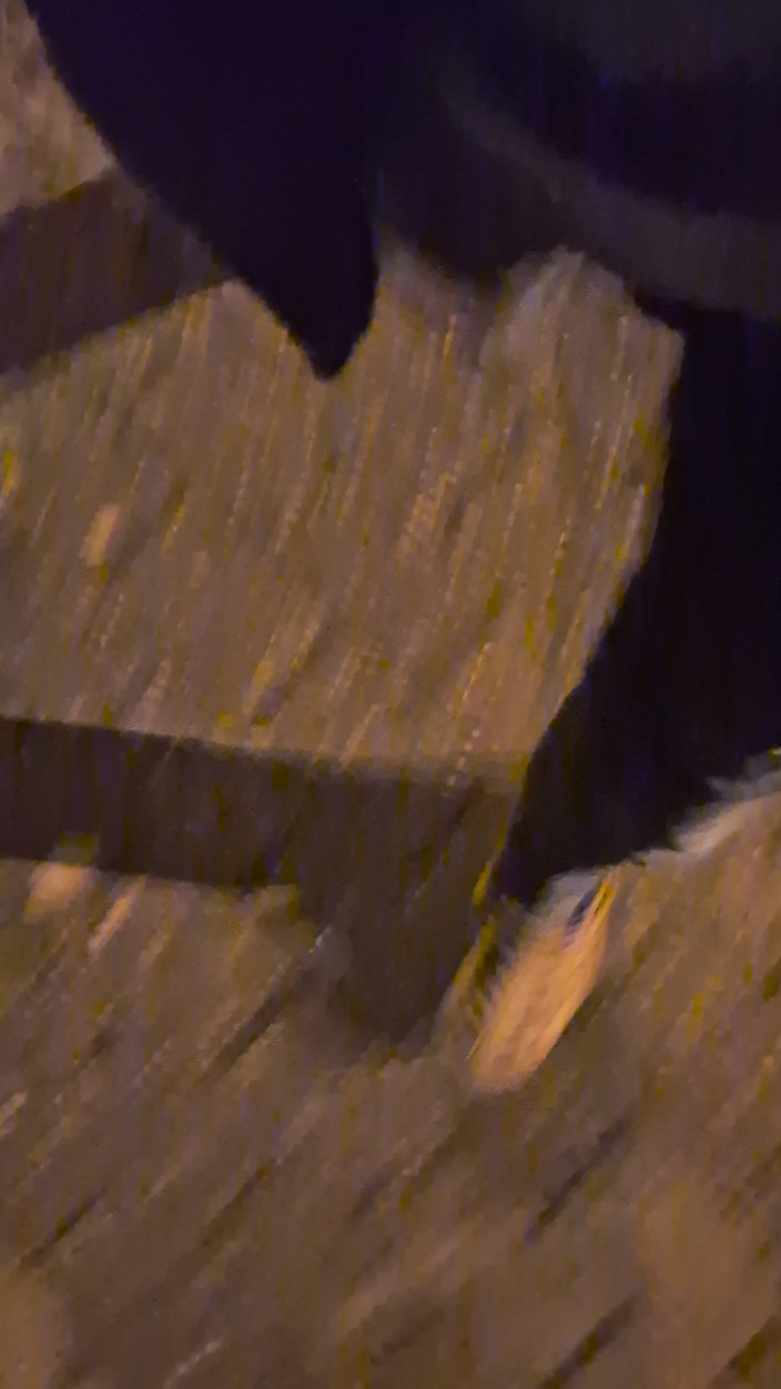 Norsken77: Pissing Jeans Outdoors