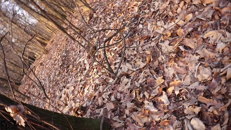ElivaLove: Nyepong kontol berbulu di hutan (dan telan sperma)
