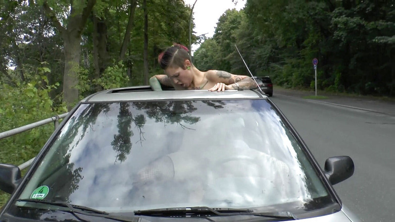 Intim Inspektor: agensi kongkek janda: pelancongan ke Leipzig