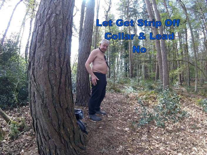 Andy: Procházka 19 2025