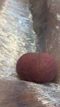 Testis deformasyonu! Taşaklarının gücüne meydan okuma şansı yok - dave moon - mia - mastürbasyon (ezme)