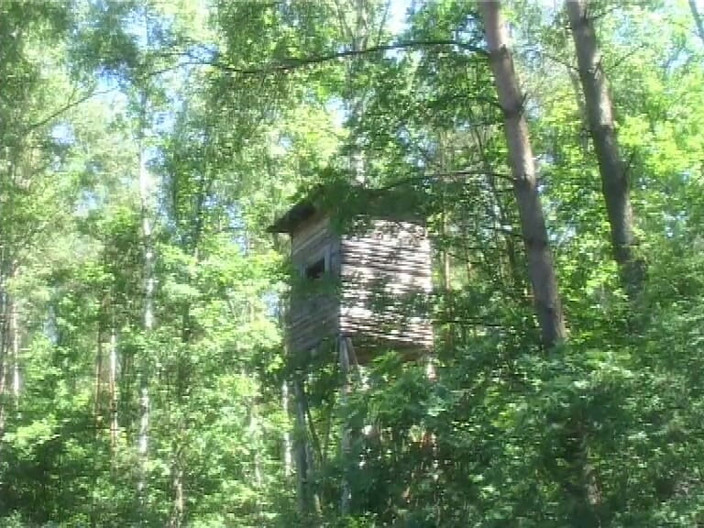 Forte porno TV xxx - (Just the best full movies): Pożądanie analne - (Cały film)