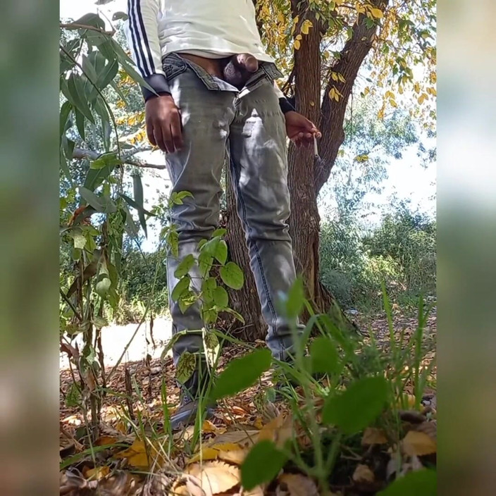 Zebra Ass: First video