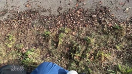 アウトドアビッチトレーニング
