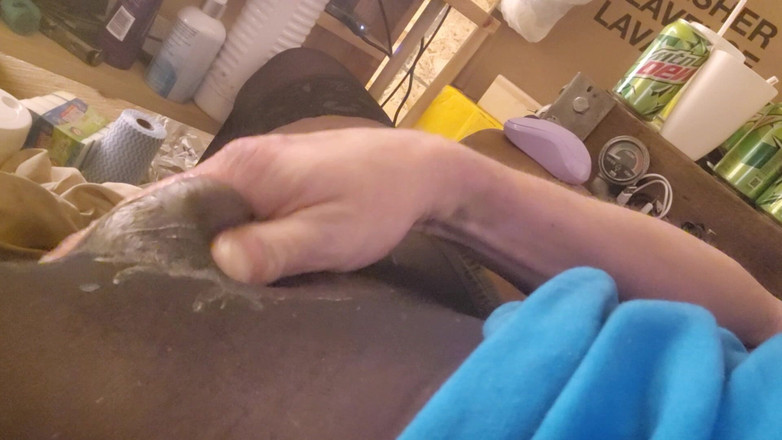 Cire: Hlazení mého ptáka punčochami