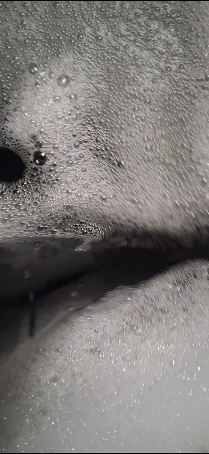 Dreamofevolution: Dnes je den koupání