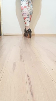 Crossdresser anda em couro preto sexy, salto alto apontado por rosa shoes