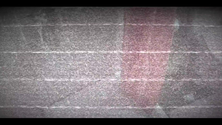 RavenHearth666VIP: 洗濯をするカメラが見つめてくれ