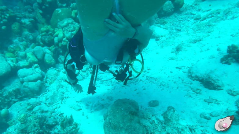 Mistress Pink Pearl: Tempo sozinho em Bonaire