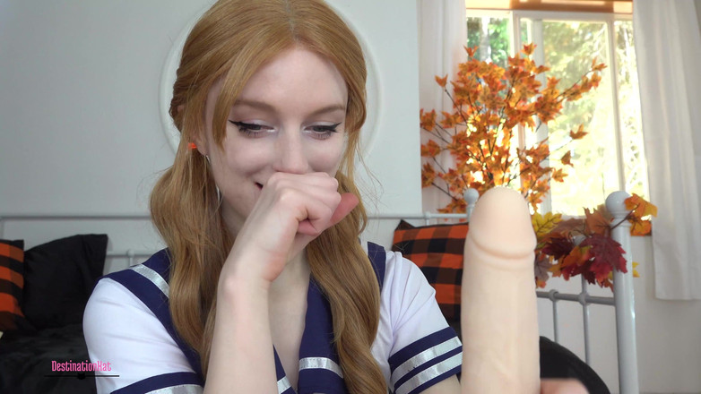 Destination Kat: Schnüffeln und kommen