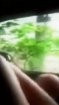 Horny Baisée Dans La Voiture