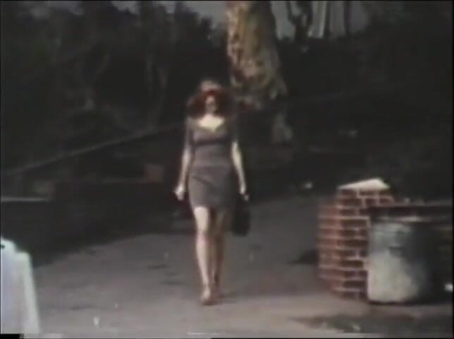 Vintage Usa: Our origin xxx... - Vol. 18