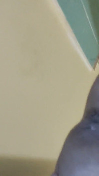 Early Morning Grinder Breeding Pt.3 the Squirt