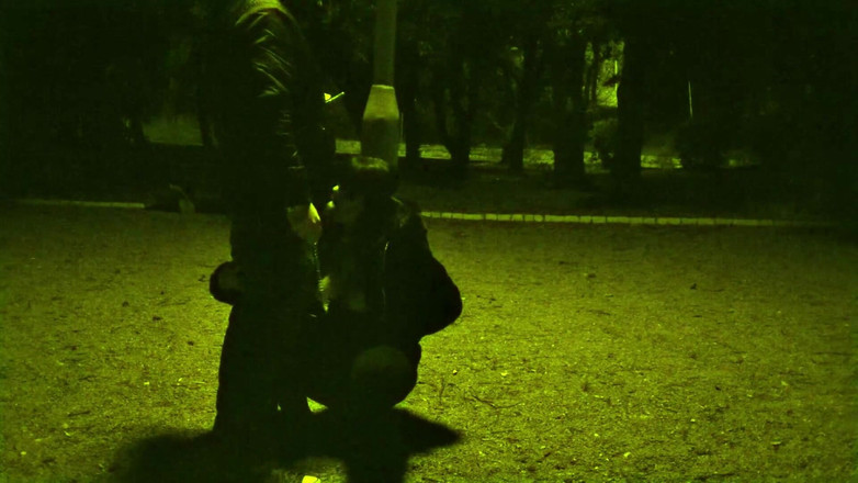 Toilet Mommy: Me on a Leash Like a Dog While the Traffic...