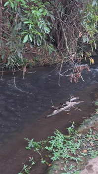 Estranhos são pegos fazendo sexo na cachoeira.
