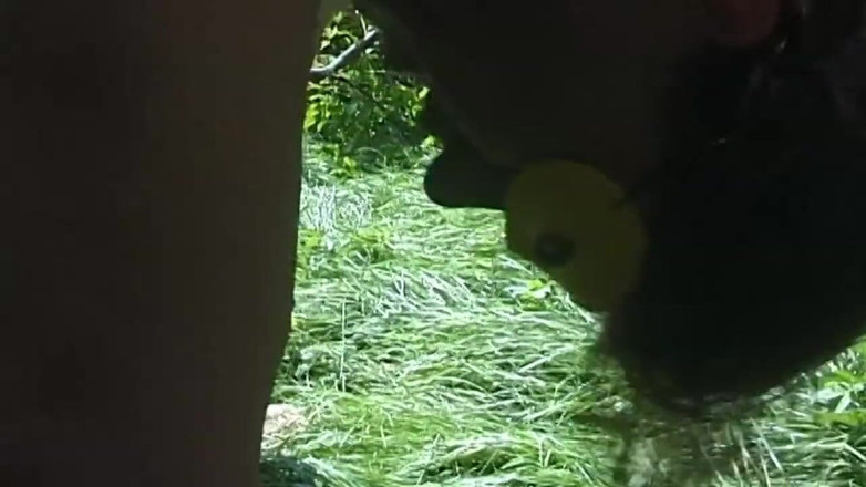 Xtime Network: Chubby masked chick anally banged outdoor in the nature