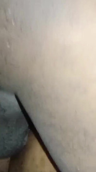 Desi college-mädchen schnell-video