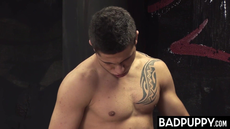 Bad Puppy: 饥渴的同性恋丹尼斯·哈伦和卢卡斯·纳托享受浴室性爱