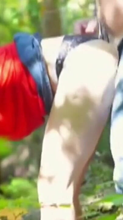 Master of porn: Well Fucked in the Forest