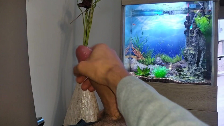 Elvissc: Hot Young Guy Wanks His Nice Big Cock Until He...