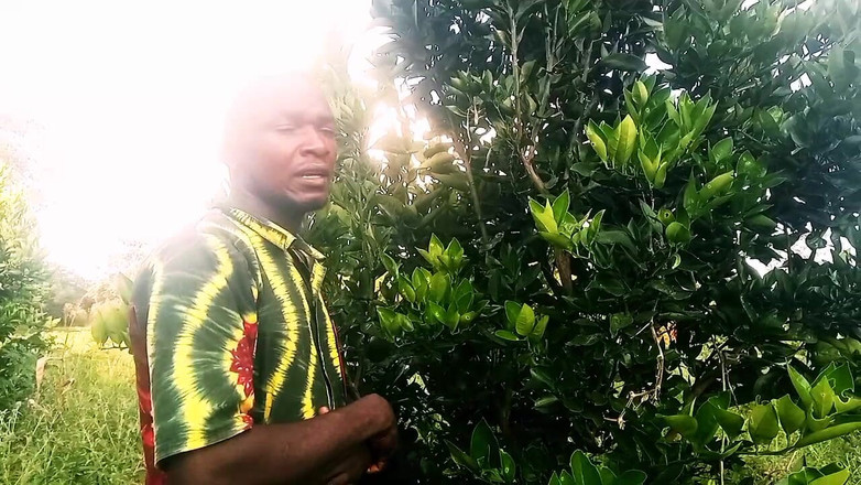 Judith xxx: Dobrý den, drahá