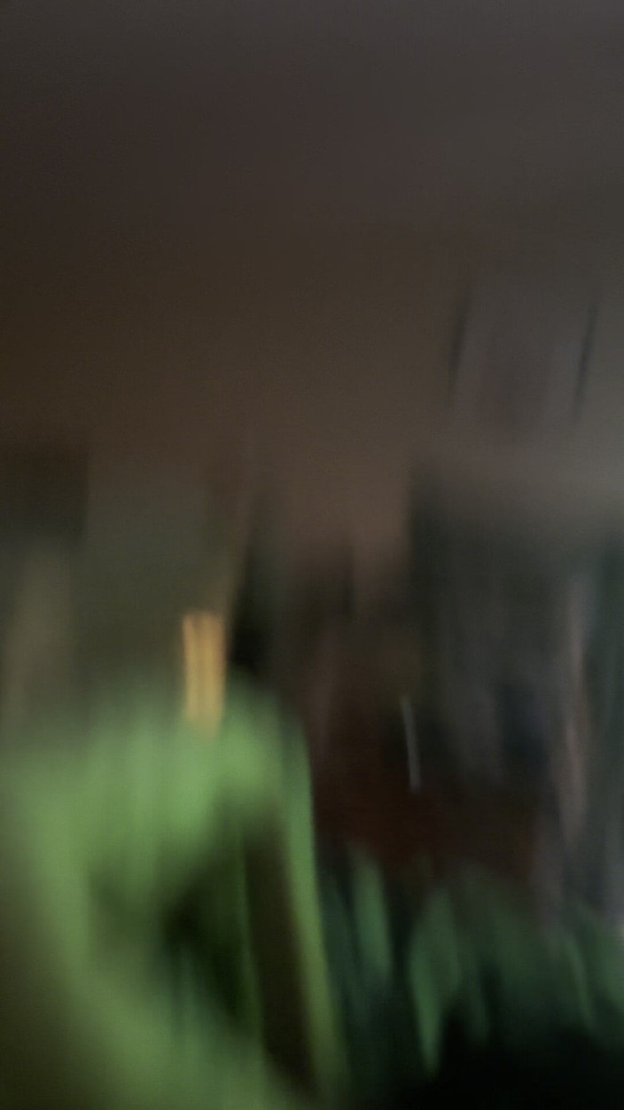 Ddub: Halle Ball глибоко на 12"