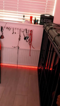 Penny blake e lola marie scopano un toro ingabbiato