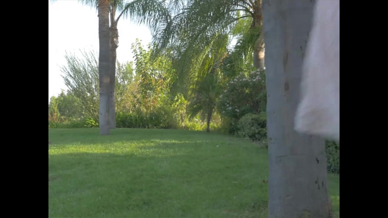 Just X Star: De verlegenheid van een model