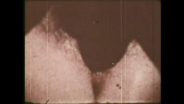 The Unforgettable: Дикий жеребець