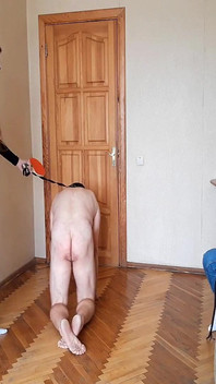 FFM seansı yakalı ve tasmalı