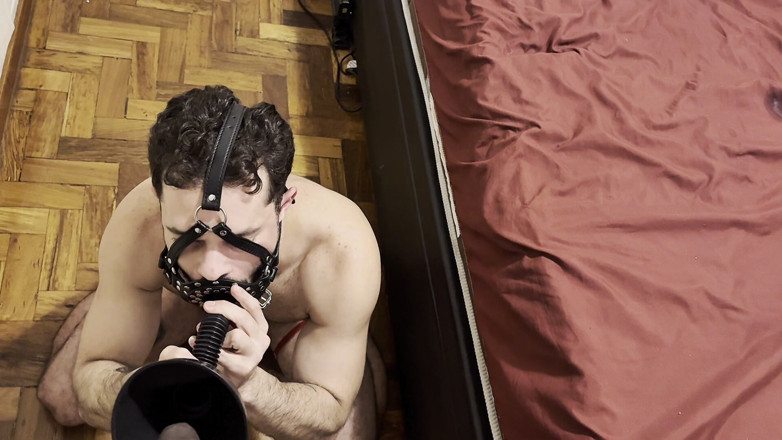 wantonboybr: Dominator Brasil