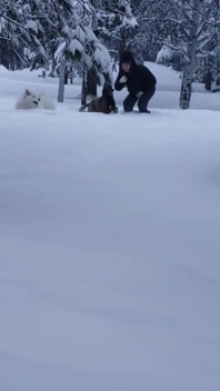 ¿Qué haces cuando nieva?