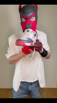 Sniff Dc Ii