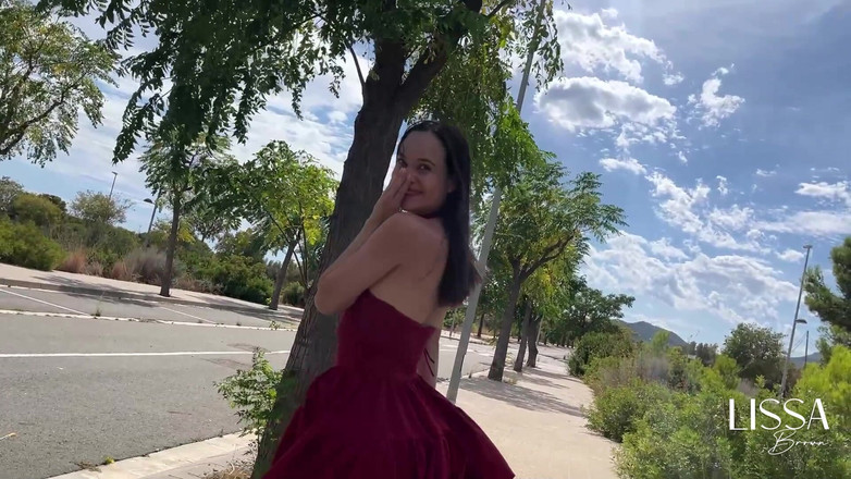 Lissa Brown: Vibrations publiques excessives - train - extérieur - jouet