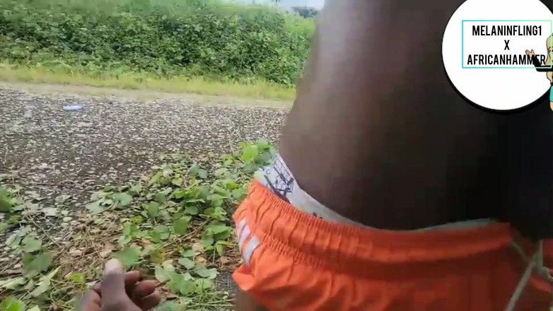 Melaninfling: Bekerja