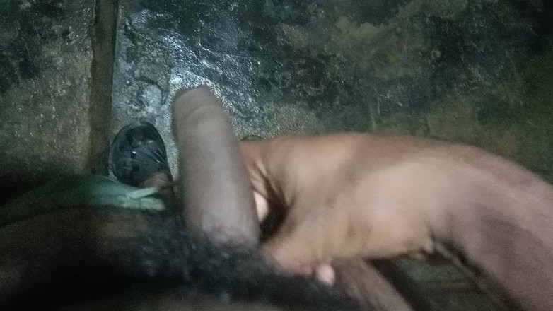 John Denver: Desi Solo