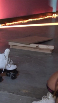 Rollerbirds Volume 1