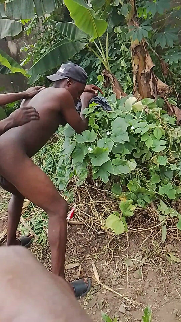 Africans men: Preparação para sexo doce na terra da fazenda em um...