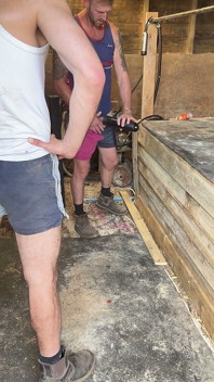 Farmer Gets Fucked by His Coworker