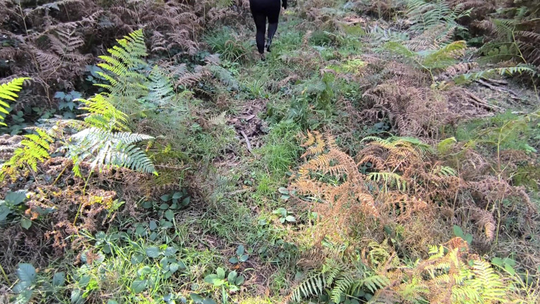 Bouncy Tits Action: 숲속에서 토플리스로 걷고 젖탱이를 따먹는 그녀