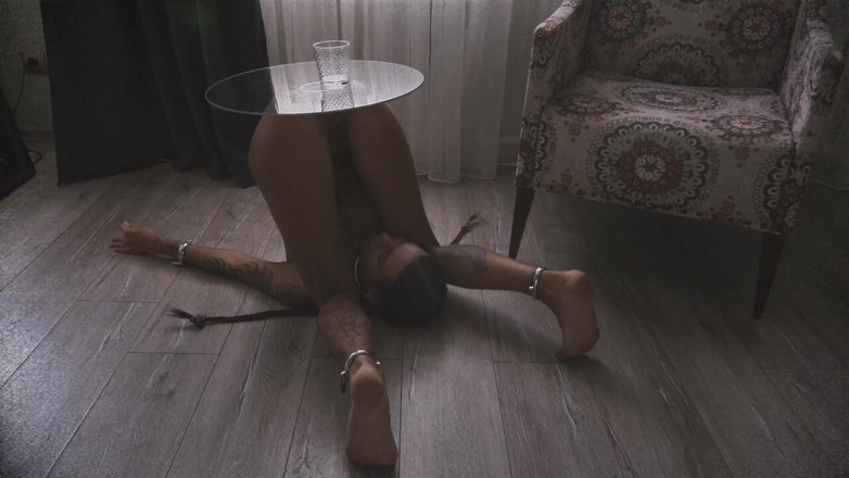TenderRuin: Rekordy off-the-lab / dziennik sesji 21