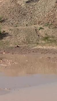 A Great Mud Adventure