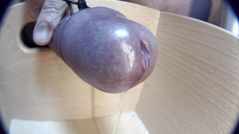 Gaylectrician: Close up cumshot 21-11-12