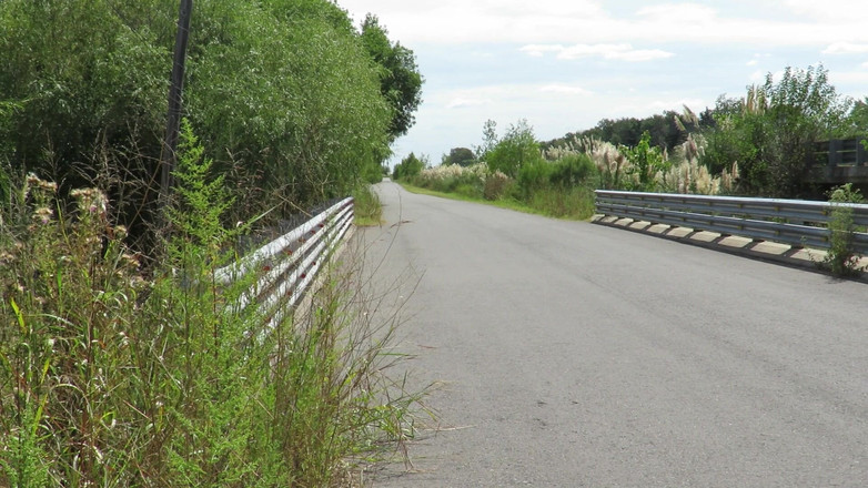 Milfcamsex: 帕特里夏在桥上的马路