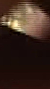 Gaping Asshole Overflowing Thick Cum After Intense Stretching
