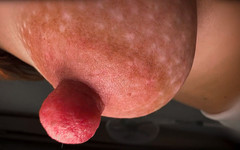 Gigi oficial: 长版本：非常不寻常的老鼠鼻子女孩得到了礼物 - 千克奶酪